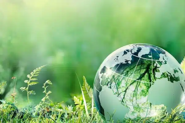 Ecologische wereld